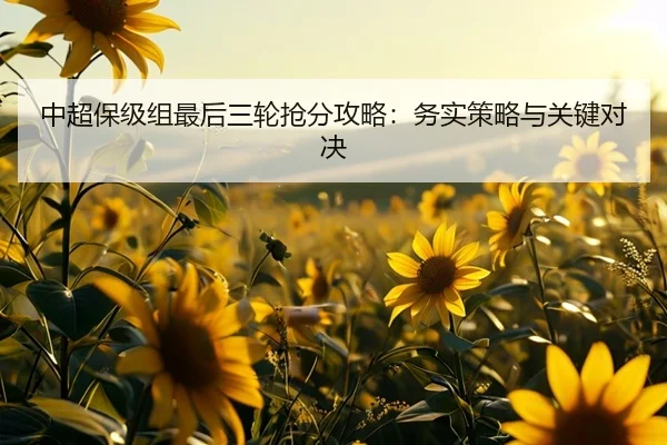 中超保级组最后三轮抢分攻略：务实策略与关键对决